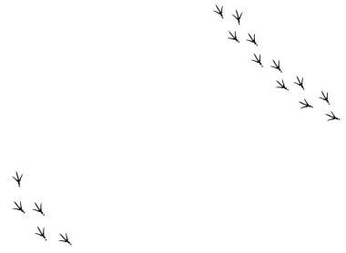 Köşesinde yuvarlak kuş izi olan yatay vektör arka planı. Beyaz arka planda siyah kuşun ayak izleri var. Kuş izi