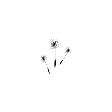 three dandelion flower seeds. Big bloom with big shabby petals. Isolated on white. Vector illustration. Eco style. Nature symbol.