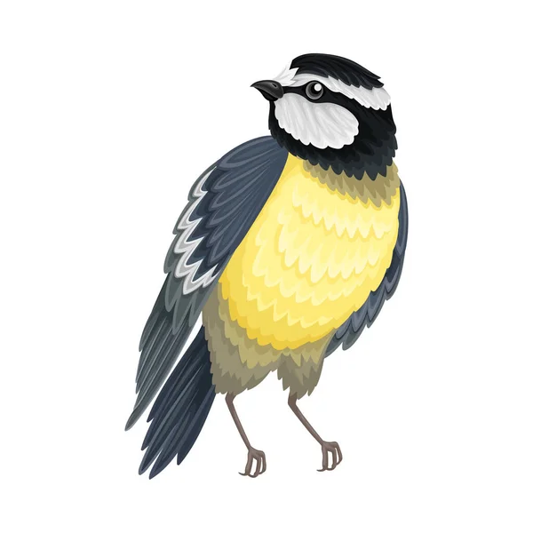 Tit with Black Head as Warm-blooded Vertebrates or Aves Vector Illustration Stok Vektor
