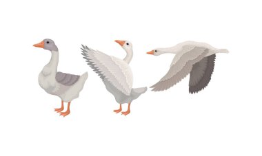 Free Free 317 Snow Goose Svg SVG PNG EPS DXF File