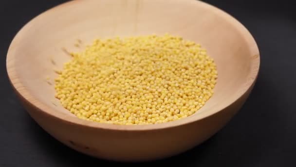 Millet groats in wooden bowl. nutrition bio. natural food ingredient. — Stock Video