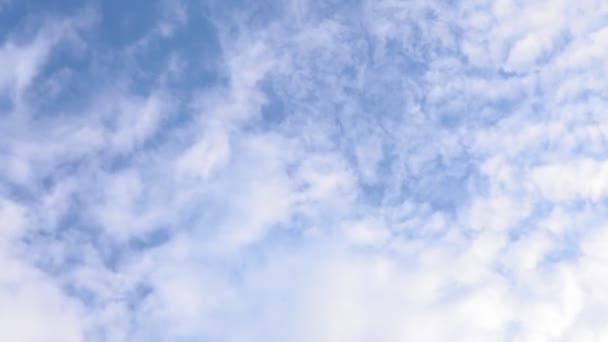 Σύννεφα Cirrus στο φόντο του ουρανού, υφή. καπνιστή, επειδή αποτελείται εξ ολοκλήρου από κρυστάλλους πάγου που πέφτουν στην ατμόσφαιρα — Αρχείο Βίντεο