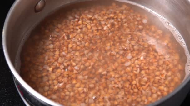 Bubur buckwheat siap. Gaya hidup sehat, diet vegan. — Stok Video