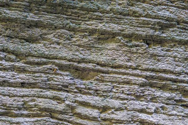 background layers in sedimentary rock on cliff face. Cliff of rocky mountain. Rock skate in the mountain. texture
