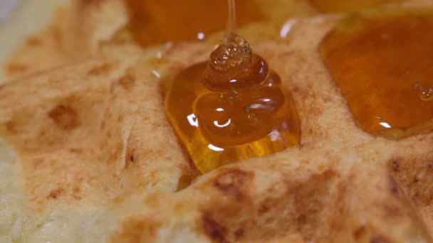 Βάφλες με μέλι από κοντά. Υγιές πρωινό. Μέλι ρίχνει σε μια φρέσκια βελγική βάφλες. — Αρχείο Βίντεο
