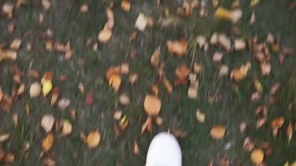 Białe trampki wychodzą na jesienną trawę z liśćmi. Spacerując po lesie — Wideo stockowe
