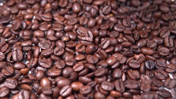 Kávová zrna pozadí. Padající kávová zrna zavřít. — Stock video