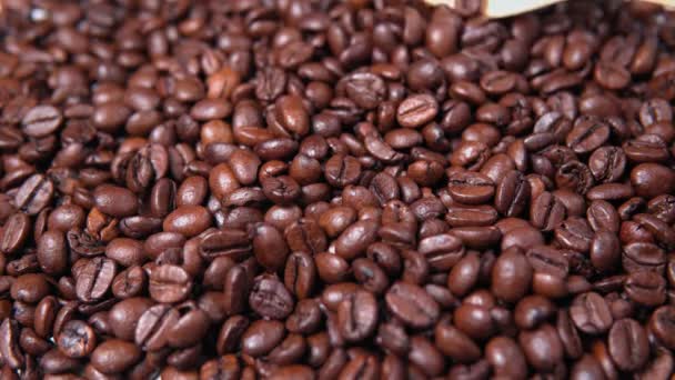香り高いコーヒー豆のクローズアップ。木製のスプーンコーヒー豆. — ストック動画