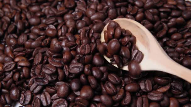 木製のスプーンでコーヒー豆のクローズアップ.選択的集中。逆運動は — ストック動画