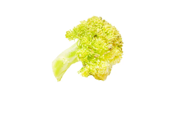 Brokoli Hijau Jelek Dekat Terisolasi Pada Latar Belakang Putih — Stok Foto