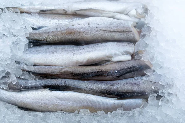Verse Vis Teller Markt Prachtig Aangelegd Ijs Vers Natuurlijke Producten — Stockfoto