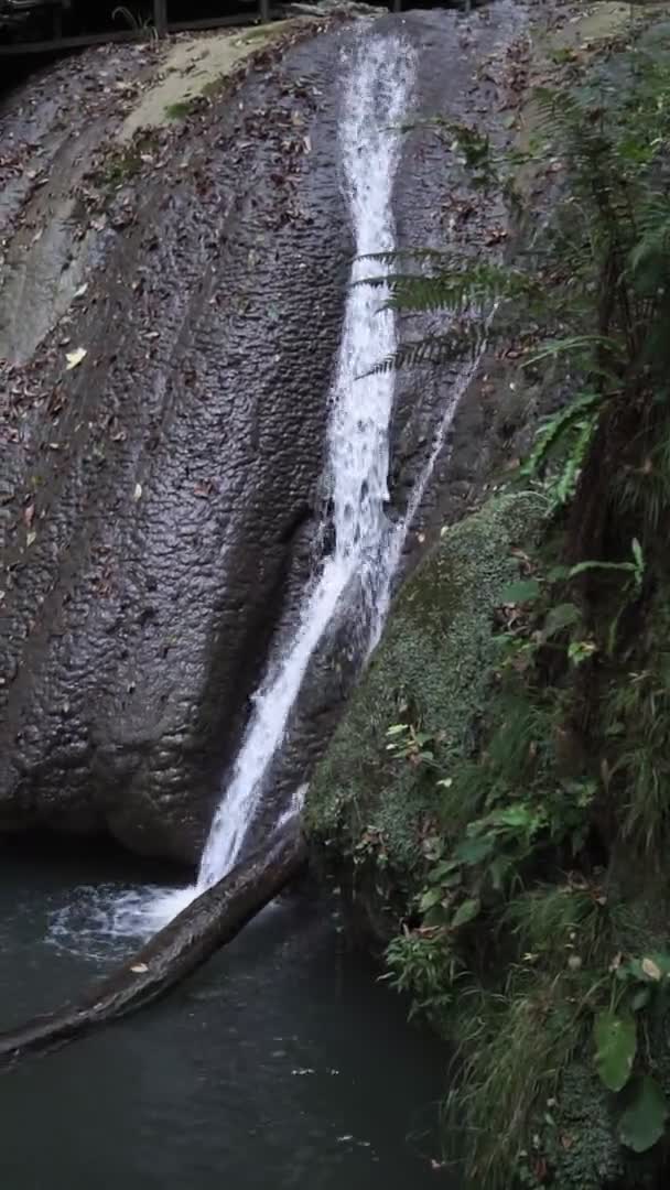 L'acqua che scorre o cade ferma il movimento nella cascata. Sfondo naturale video verticale — Video Stock