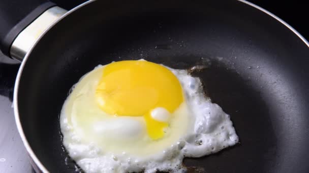 Cuisson vue rapprochée d'un œuf frit dans une poêle — Video