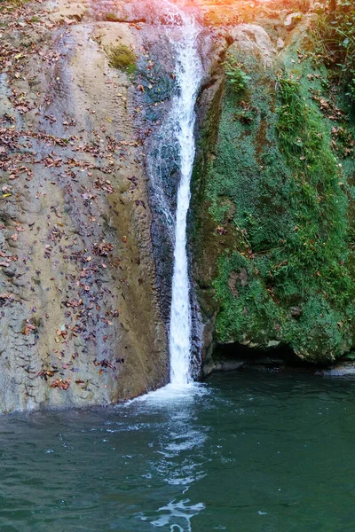 Chute Eau Dans Paysage Forestier Coulant Des Pierres Concentration Sélective — Photo