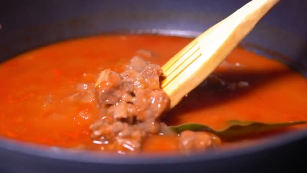 Goulash, sup sapi rebus atau sup bogrash dengan daging, sayuran dan rempah-rempah. Masakan Hungaria. Persiapan makanan — Stok Video