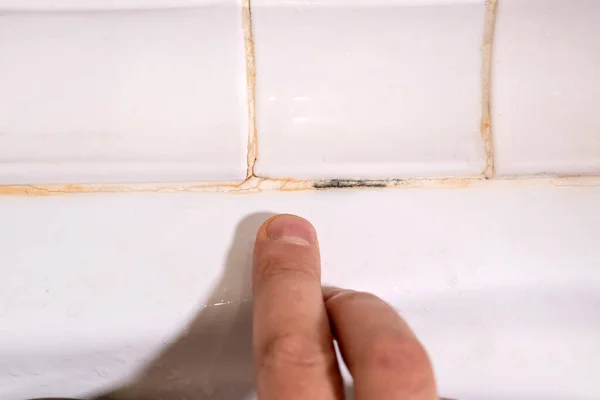 곰팡이 파괴는 화장실에 놓는다 실리콘 석류석 — 스톡 사진