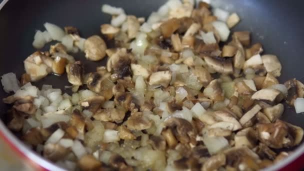 Τηγανιτά μανιτάρια με κρεμμύδια σε ένα κοντινό τηγάνι. επιλεκτική εστίαση — Αρχείο Βίντεο
