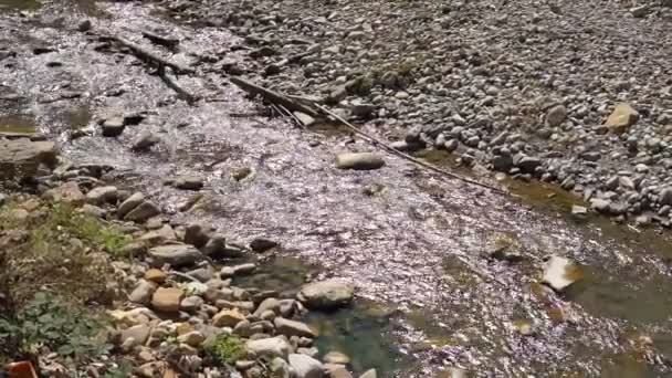 Agua en un río de montaña. Corriente del río Montaña. En un día soleado brillante — Vídeos de Stock