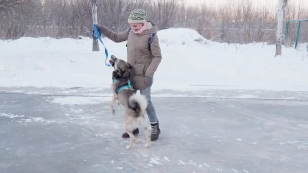 Giovane ragazza gioca con il suo cane in inverno fuori sul parco giochi per cani. Amicizia, animale domestico e umano. focus selettivo — Video Stock