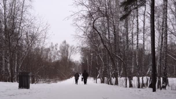 Parc d'hiver personnes marchant, marche nordique. Parc public d'hiver — Video