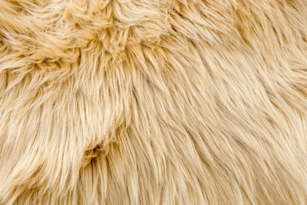 黄色のウールの質感の背景 自然なふわふわの毛皮の羊のウールの肌の質感 バックグラウンドと壁紙のためのクローズアップマクロ — ストック写真