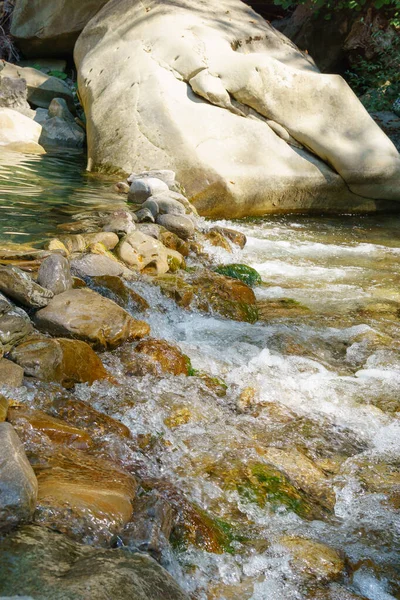 Wild Mountain River Nahaufnahme Reichlich Klarer Strom Fließende Steinbrocken — Stockfoto