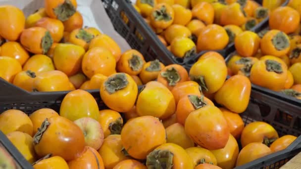 Persimon frukt. Hälsosam mat. Begreppet selektiv inriktning av höstens jordbruksskörd — Stockvideo