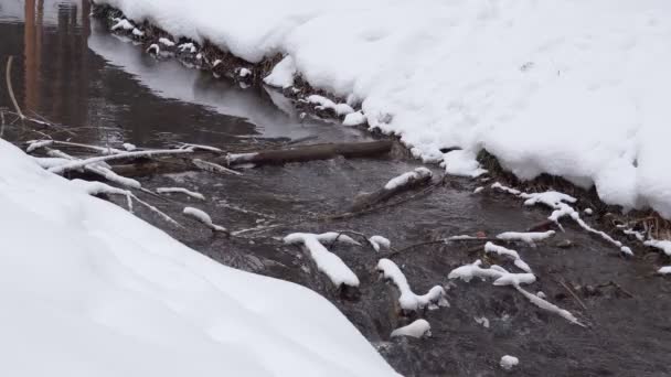 Krajobraz ze śnieżną rzeką z wodą w zimny wieczór. kamera statyczna — Wideo stockowe