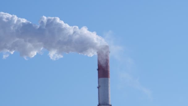 Dym z rur przemysłowych się zamyka. Strefa przemysłowa. zanieczyszczenie środowiska. kamera statyczna — Wideo stockowe
