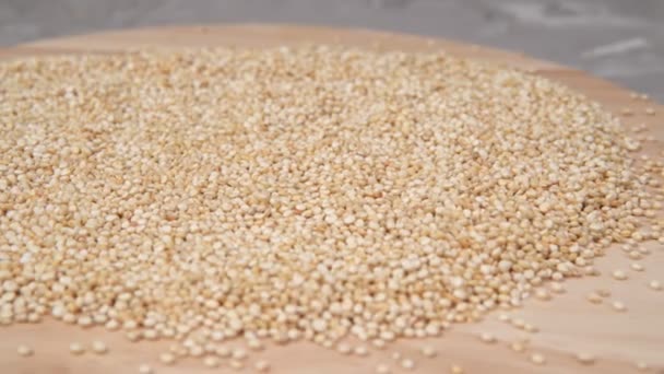 Quinoa groats close-up. healthy dietary groat. selective focus — Stock Video
