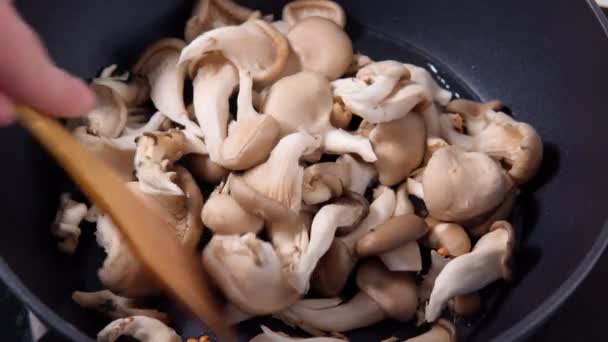Przygotowywanie mieszanych grzybów, takich jak grzyby pospolite, ostrygi lub shiitake — Wideo stockowe