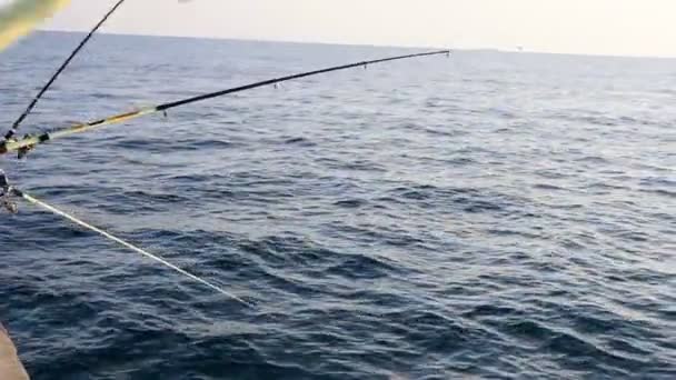 Halászat a tengeren naplemente előtt. halászati szelektív fókusz. — Stock videók