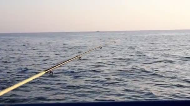 Haste de pesca contra a superfície da água do mar. pesca marítima. — Vídeo de Stock