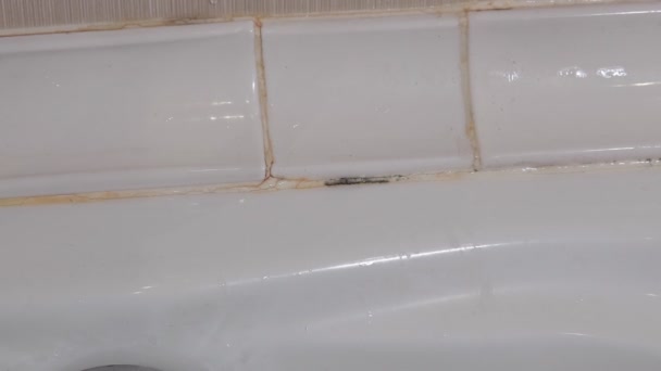 Svart mögel i badrummet. Fladdermusen infekterad av svamp. ringa en rörmokare — Stockvideo
