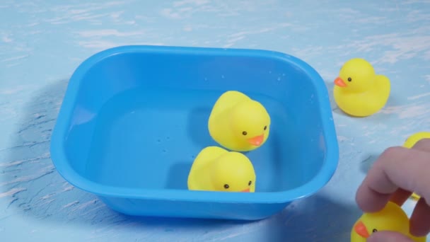 Los patos de goma nadan. Baño alegre y alegre. Verano. — Vídeos de Stock