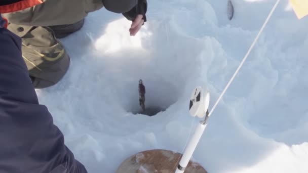 Fischer fing im Winter einen Barsch. Nahaufnahme selektiver Fokus, Winterfischerei. Zeitlupe — Stockvideo