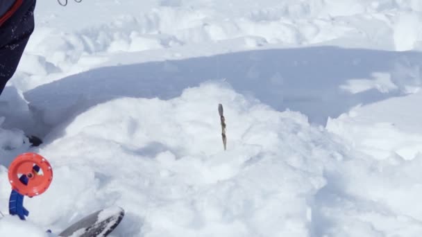 Zimowe łowienie okonia na zimowym jeziorze. ukierunkowanie selektywne — Wideo stockowe