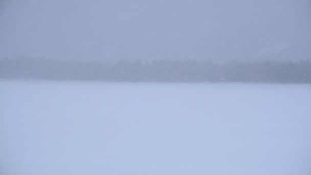 Fortes chutes de neige dans la forêt sur le lac d'hiver. mauvais temps en hiver — Video