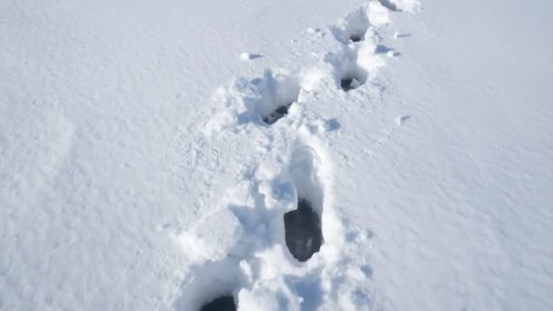 Huellas en el lago de invierno. un hombre camina sobre un lago congelado. Temporada de invierno — Vídeos de Stock