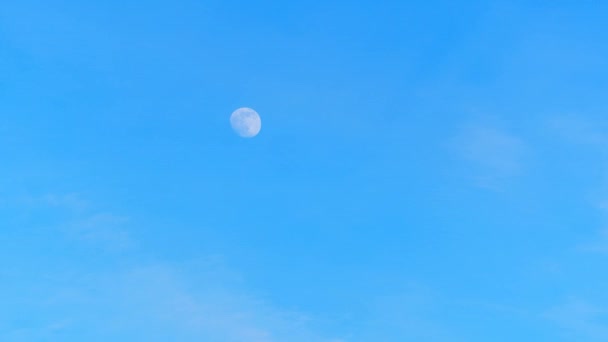 De maan is in de blauwe hemel gedurende de dag, drie dagen voor de volle maan. Termijn — Stockvideo