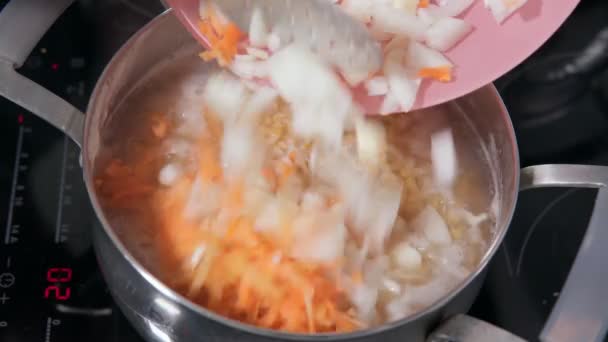 Sopa india hecha de lentejas rojas y verduras. Comida india y vegetariana. — Vídeo de stock