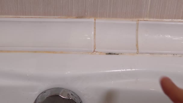 Μαύρη μούχλα στο μπάνιο. Το ρόπαλο που μολύνθηκε από μύκητες. Φώναξε υδραυλικό. — Αρχείο Βίντεο