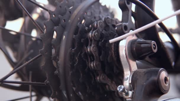 Rociando un aceite para encadenar desde la bicicleta de ruedas, haciendo mantenimiento. enfoque selectivo — Vídeos de Stock