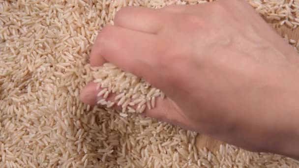Deixando cair arroz integral de perto. Movimento lento. foco seletivo — Vídeo de Stock