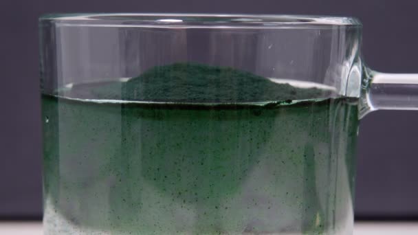 Algas verdes em pó espirulina dissolve-se em água. foco seletivo — Vídeo de Stock