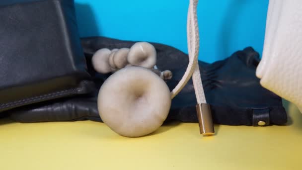 Produits faits de mycélium sac à gants en cuir de champignon, sac à main, veste. Peau végétalienne à base de champignons. Vue du dessus — Video