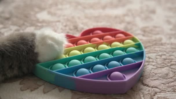 猫玩硅胶POP IT玩具.新流行的硅胶玩具. — 图库视频影像