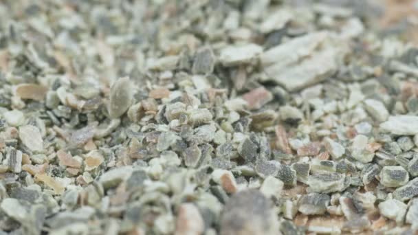 Συμπληρώματα διατροφής φύκια σκόνη φύκια, close-up. επιλεκτική εστίαση — Αρχείο Βίντεο