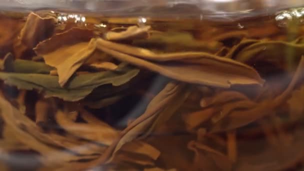 Las hojas de té negro flotan y giran en una tetera transparente. Ceremonia del té — Vídeos de Stock