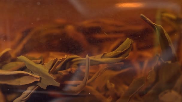 Крупним планом кип'ятіння води заварювання чайного макросу з вибірковим фокусом — стокове відео